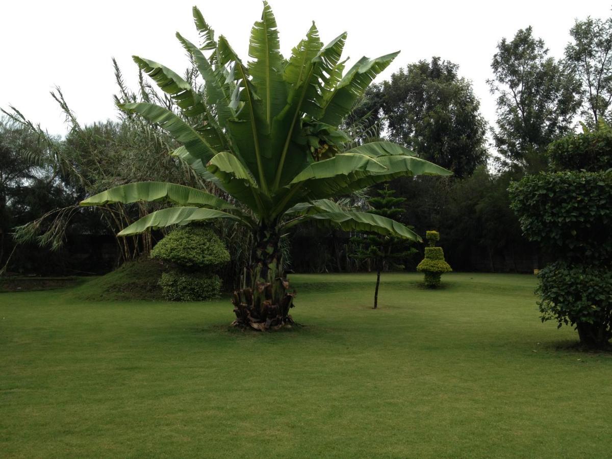 Homebase Gardens Nakuru Exterior foto
