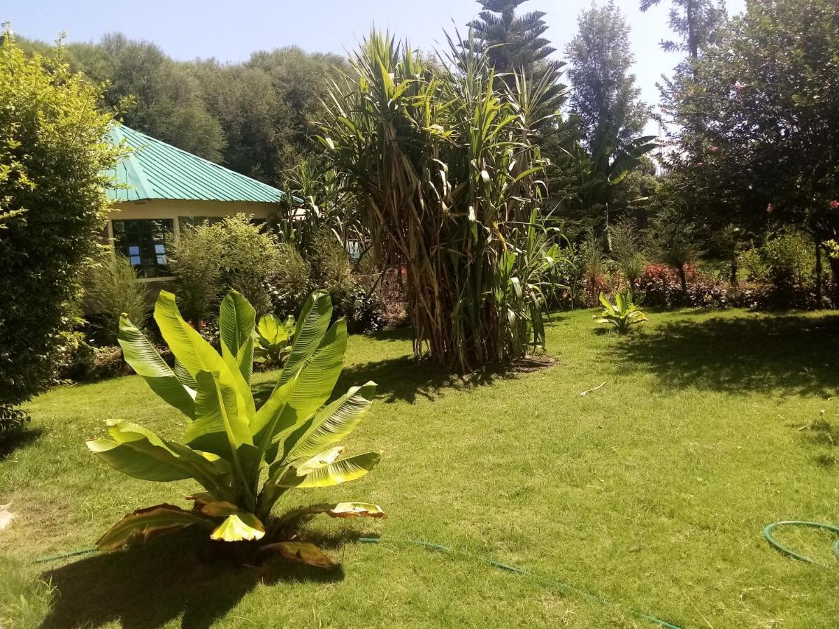 Homebase Gardens Nakuru Exterior foto