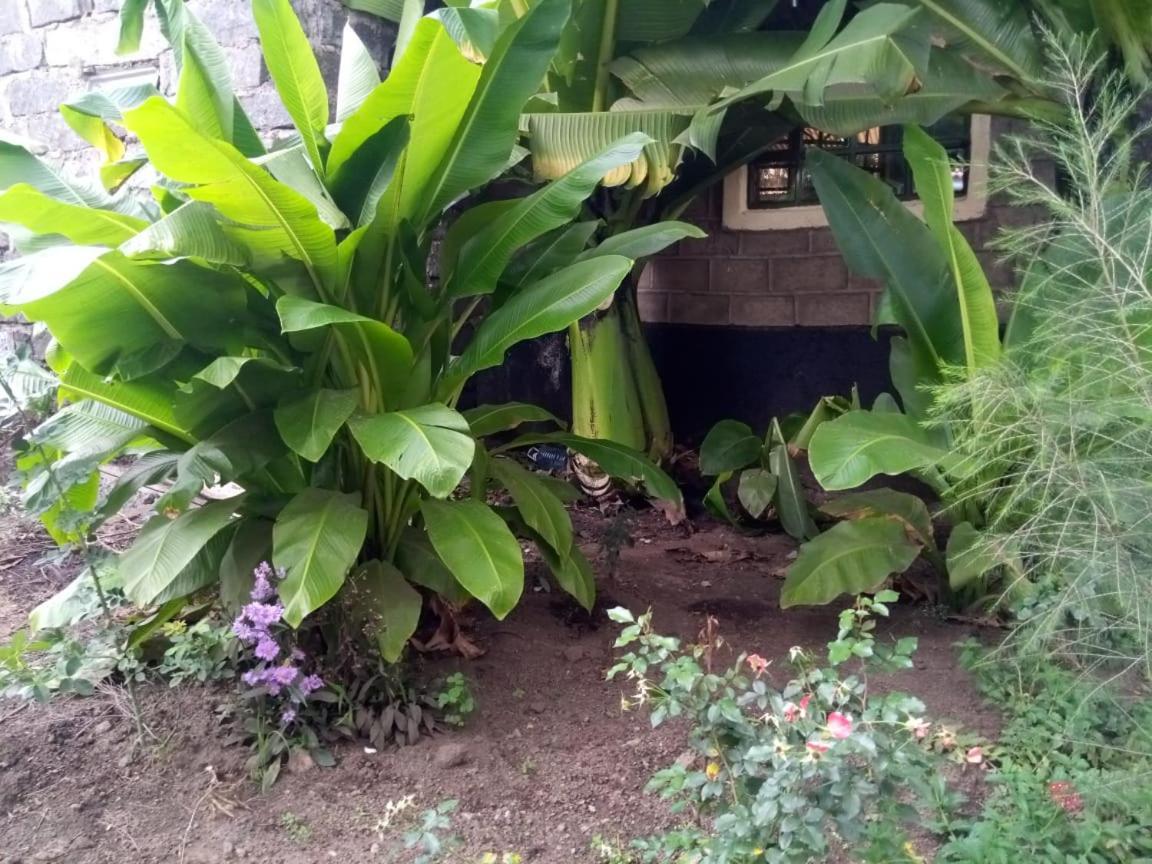 Homebase Gardens Nakuru Exterior foto
